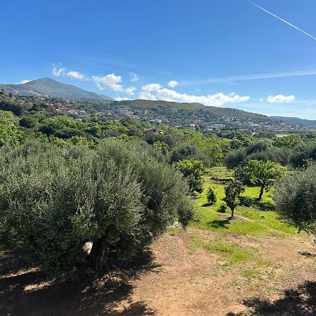 Casa Vacanza Maria Antonieta Marina di Camerota Eksteriør bilde