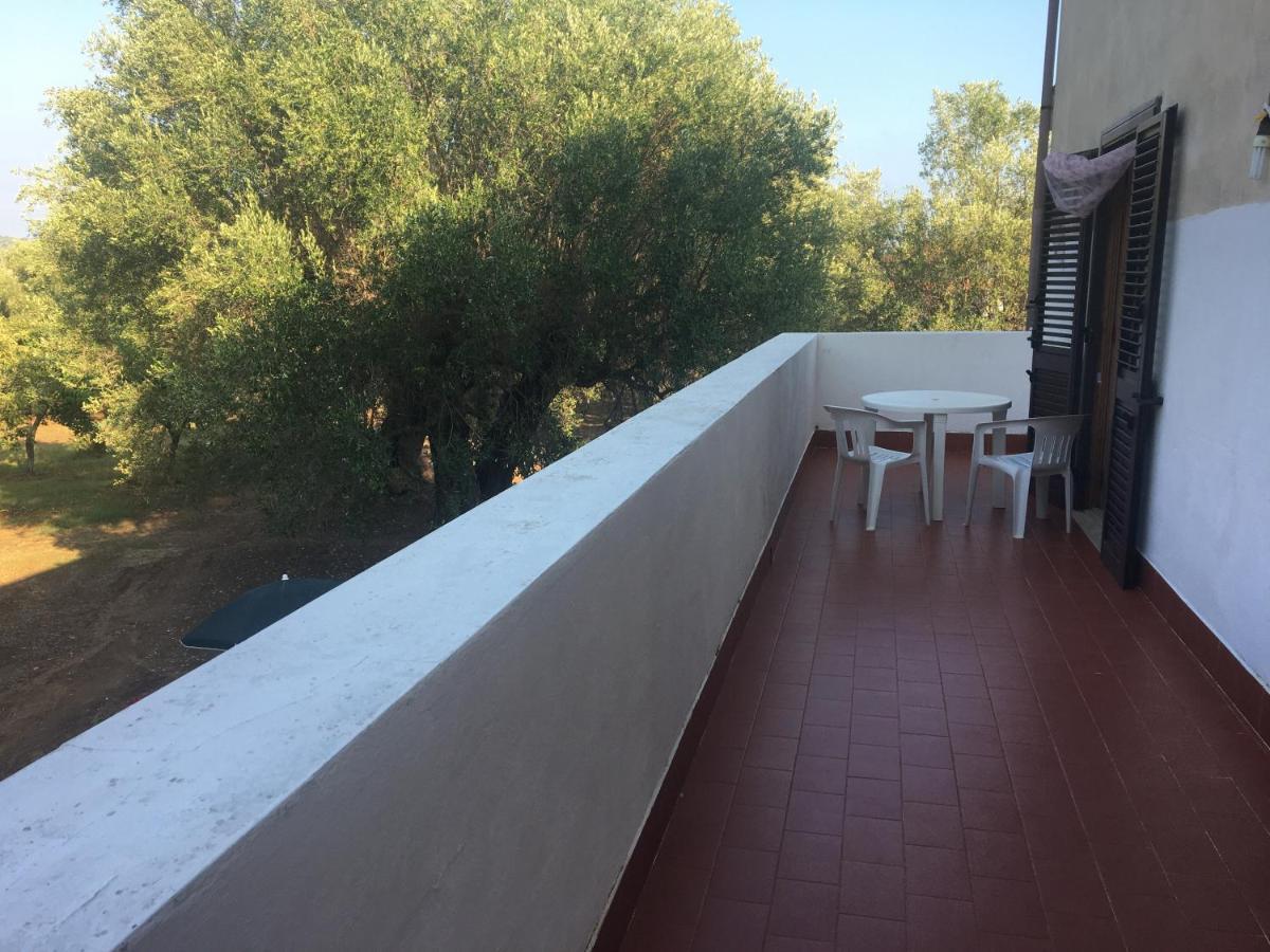 Casa Vacanza Maria Antonieta Marina di Camerota Eksteriør bilde