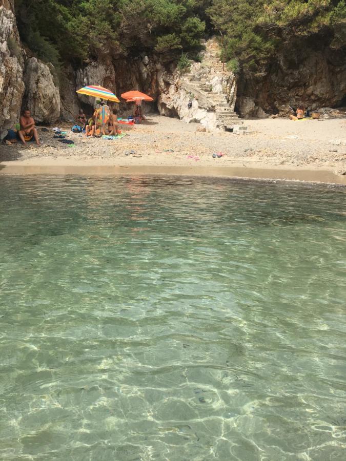 Casa Vacanza Maria Antonieta Marina di Camerota Eksteriør bilde