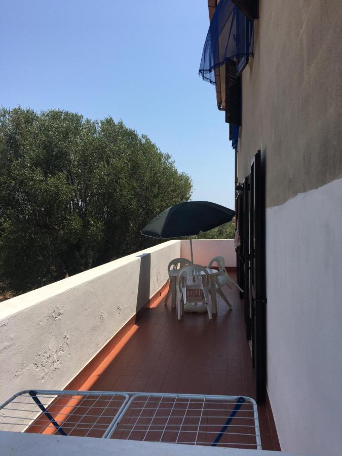 Casa Vacanza Maria Antonieta Marina di Camerota Eksteriør bilde
