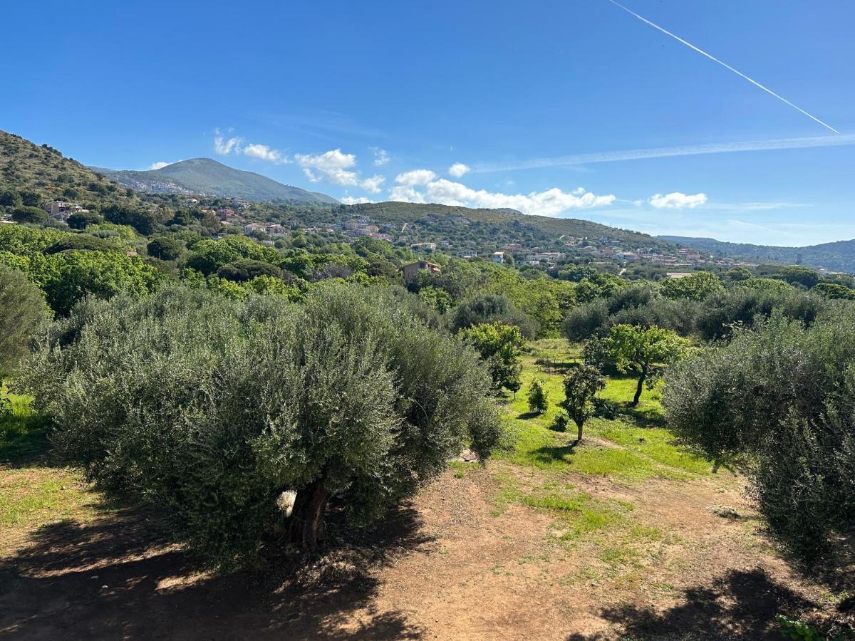 Casa Vacanza Maria Antonieta Marina di Camerota Eksteriør bilde