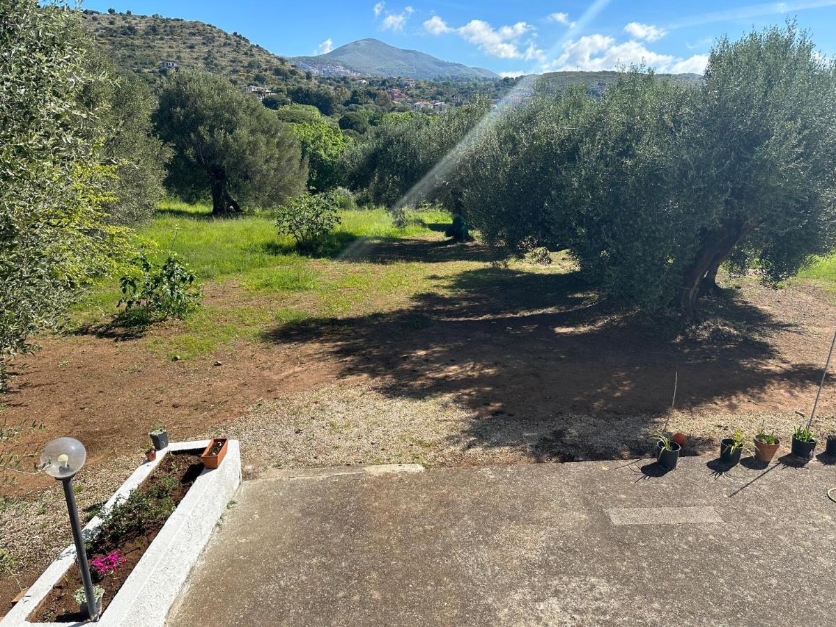 Casa Vacanza Maria Antonieta Marina di Camerota Eksteriør bilde