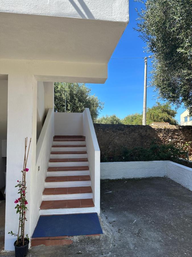 Casa Vacanza Maria Antonieta Marina di Camerota Eksteriør bilde