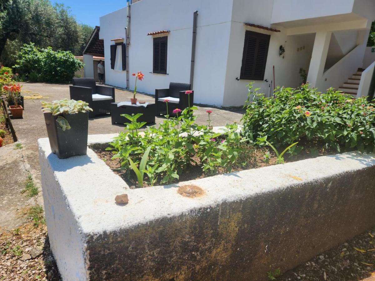 Casa Vacanza Maria Antonieta Marina di Camerota Eksteriør bilde